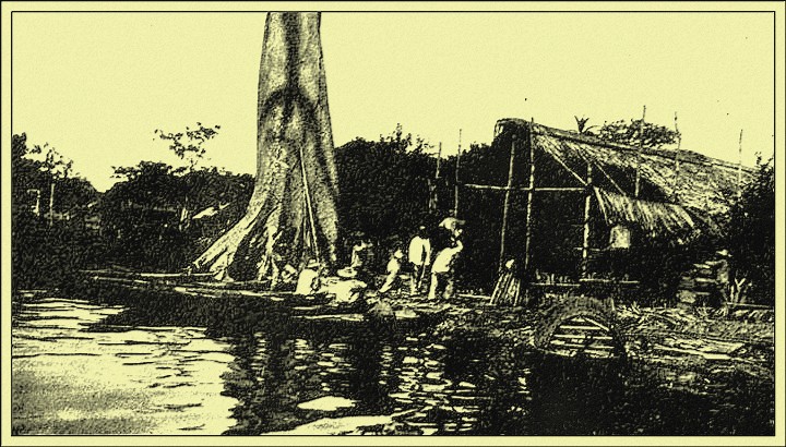 The Hotel, Left Background, and Annex, Foreground, at Santa Isabel, with a Mournful Remnant of Balata Boats