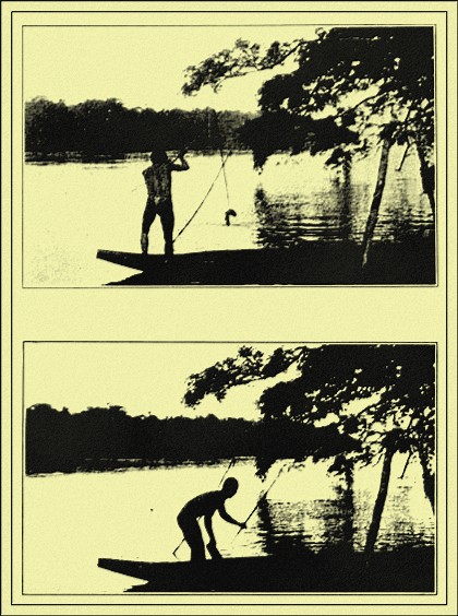 Bow-and-arrow Fishing